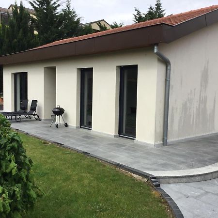 Au Pied Des Vignes Villa Guebwiller Bagian luar foto